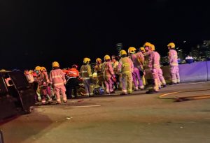 Изпълнителна агенция по горите | Новини