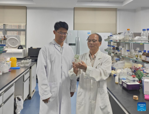 Гуанджоу разкрива първата по рода си изчислителна платформа