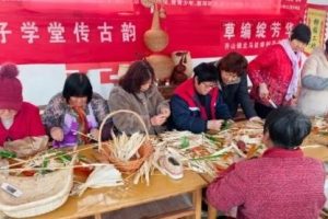 TikTok печели съдебно дело срещу заповед за спиране в Канада