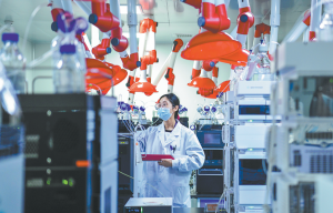 Изпълнителна агенция по горите | Новини