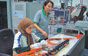 Фирми стават глобални, за да получат бърза поддръжка