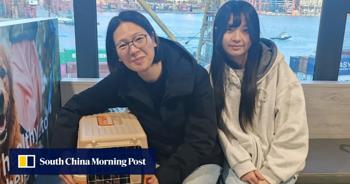 Помощ de minimis в размер на 18 000 лева ще получат пчеларите, произвеждащи „Странджански манов мед“