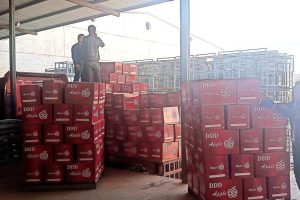 Защитените от GI ябълки Jingning на Гансу разширяват глобалния обхват с нова пратка от Непал