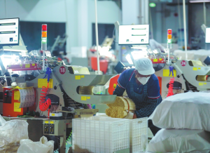 Универсалността на бамбука не познава граници