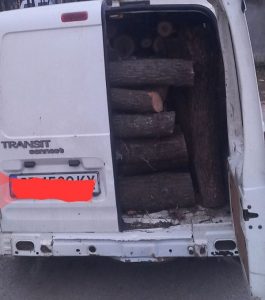 Изпълнителна агенция по горите | Новини