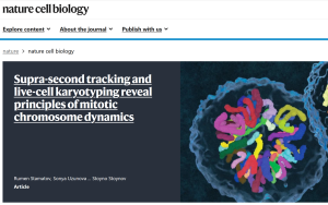 Учени от БАН разработиха иновативен метод, който разкрива движението на хромозомите с невиждана досега точност